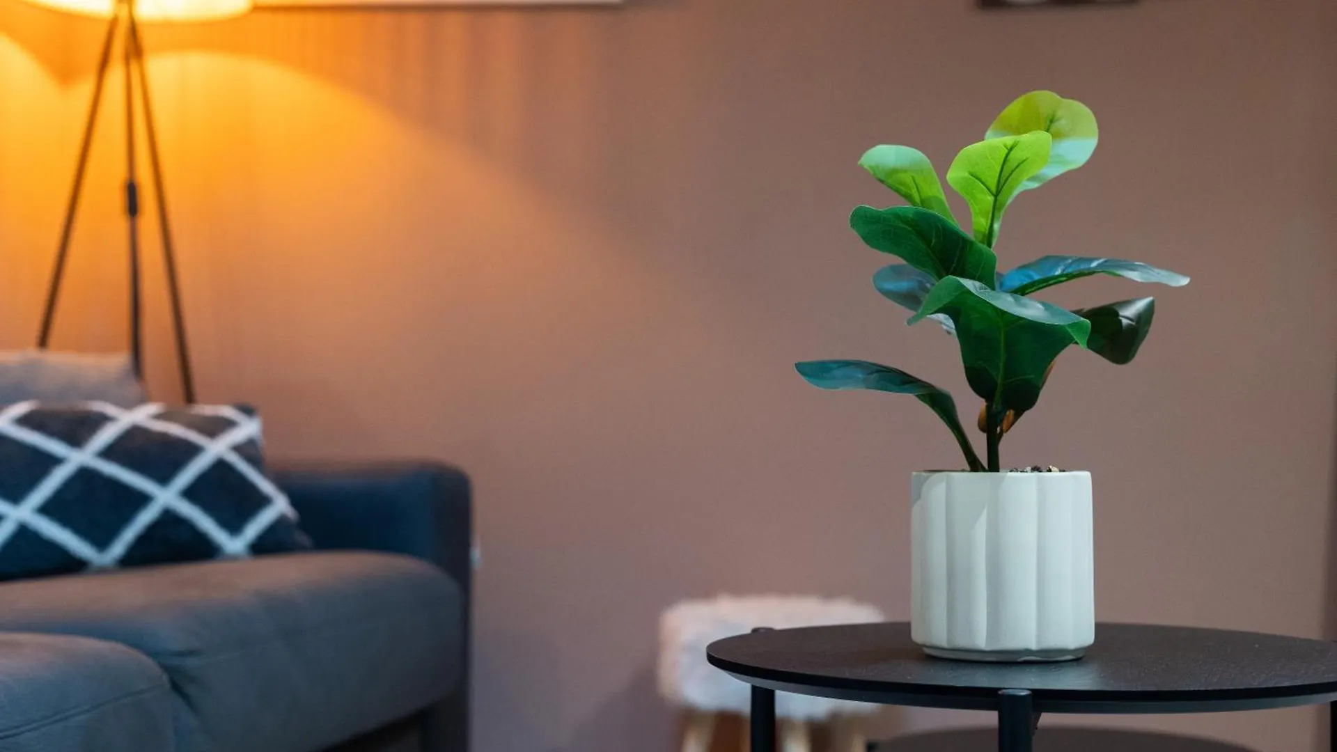 Modern Apartments Located In 戛纳